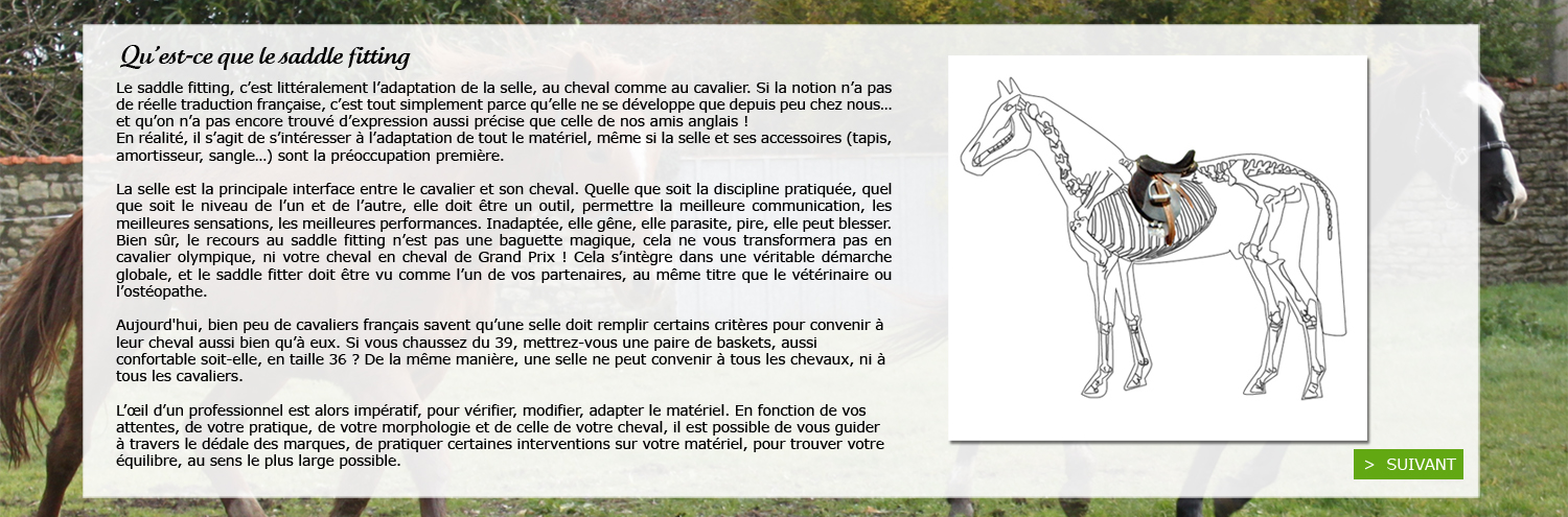 Définition du saddle fitting