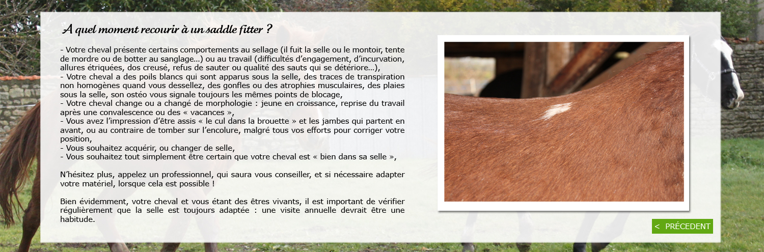 A quel moment recourir à un Saddle Fitter 